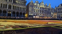 Famoso tapete de flores em Bruxelas