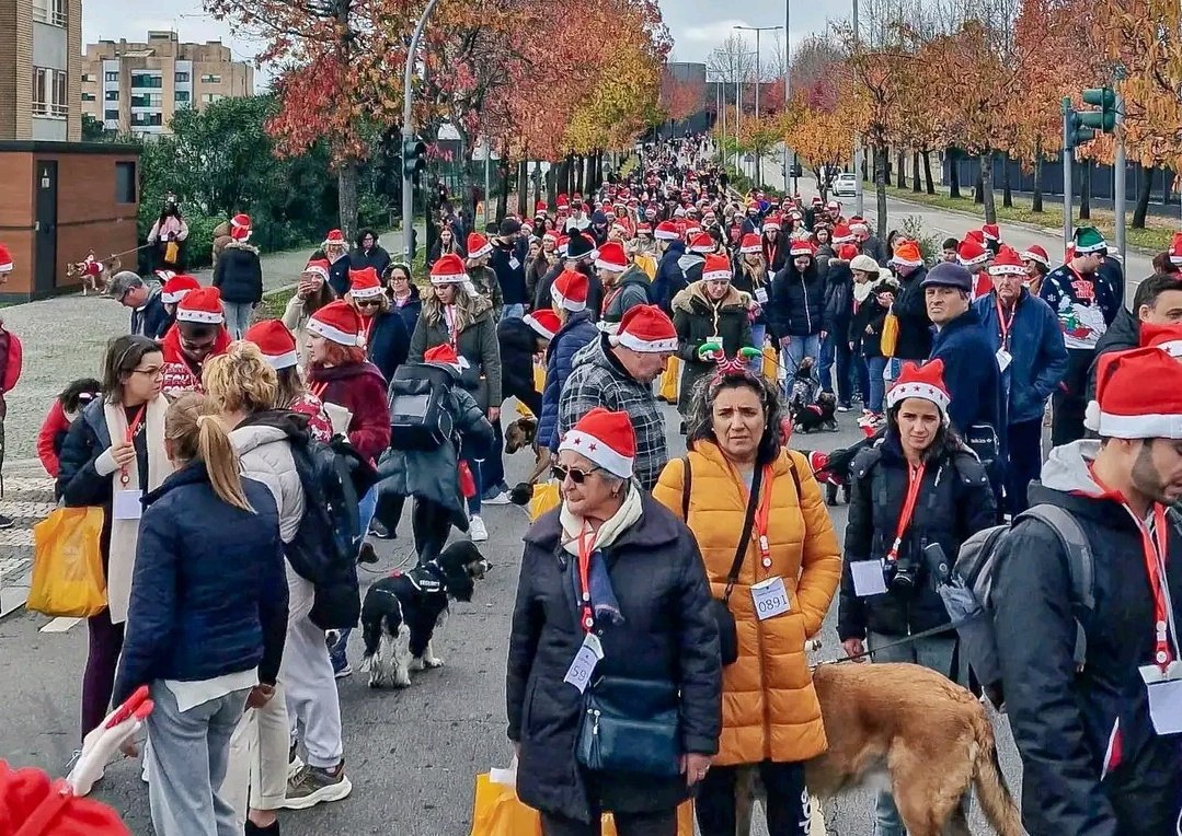 Cerca de 500 pessoas com gorros de Natal e acompanhadas pelos seus cães participam numa caminhada solidária nas ruas da Maia, criando um ambiente festivo e comunitário.